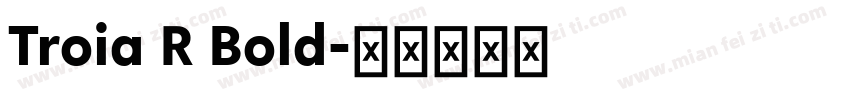 Troia R Bold字体转换